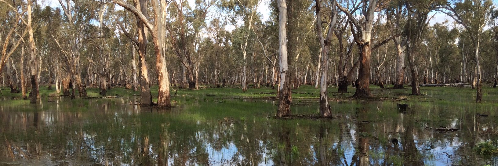 Water Technology banner