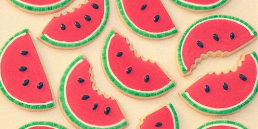 Carol Siete Tierras banner