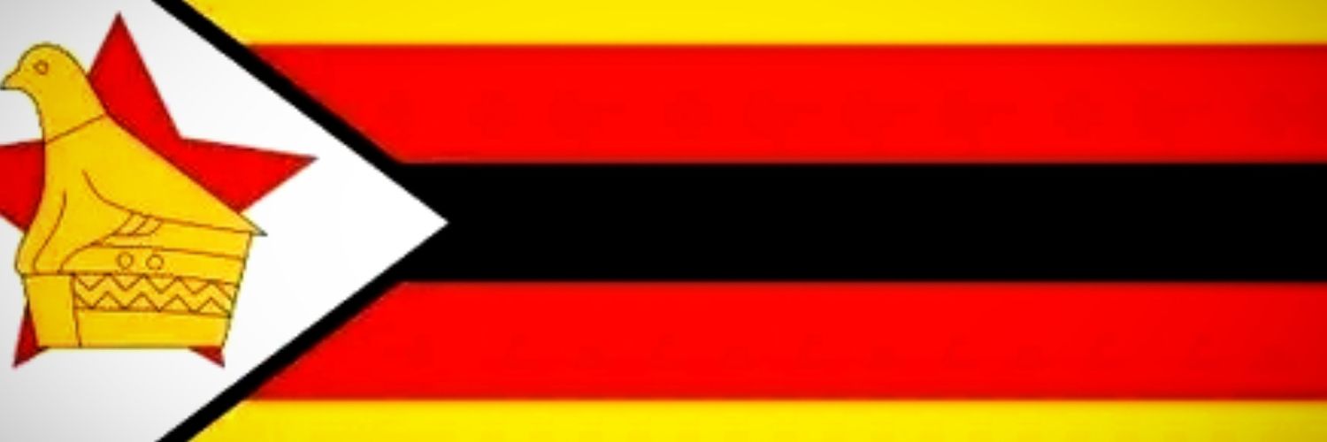 TANAKA MUNONGERWA🇿🇼🖤 banner