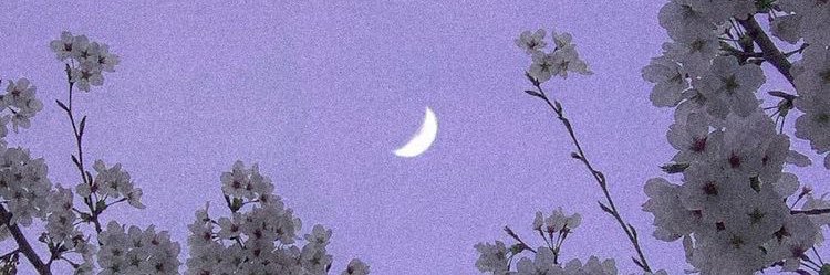 emanbart's profile banner image