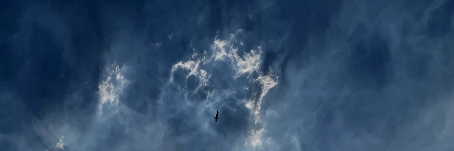 aleckavalos's profile banner image