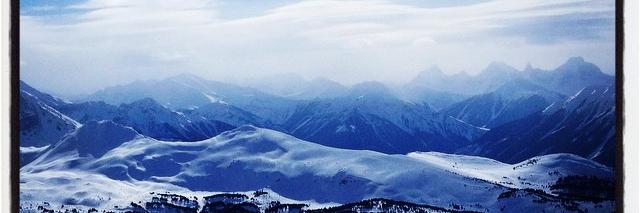 Tom Rackley 💙 banner