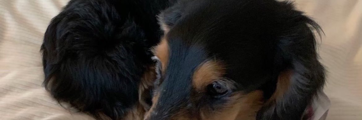 r______i_onn's profile banner image