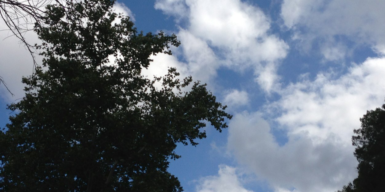 Robert Arellano banner