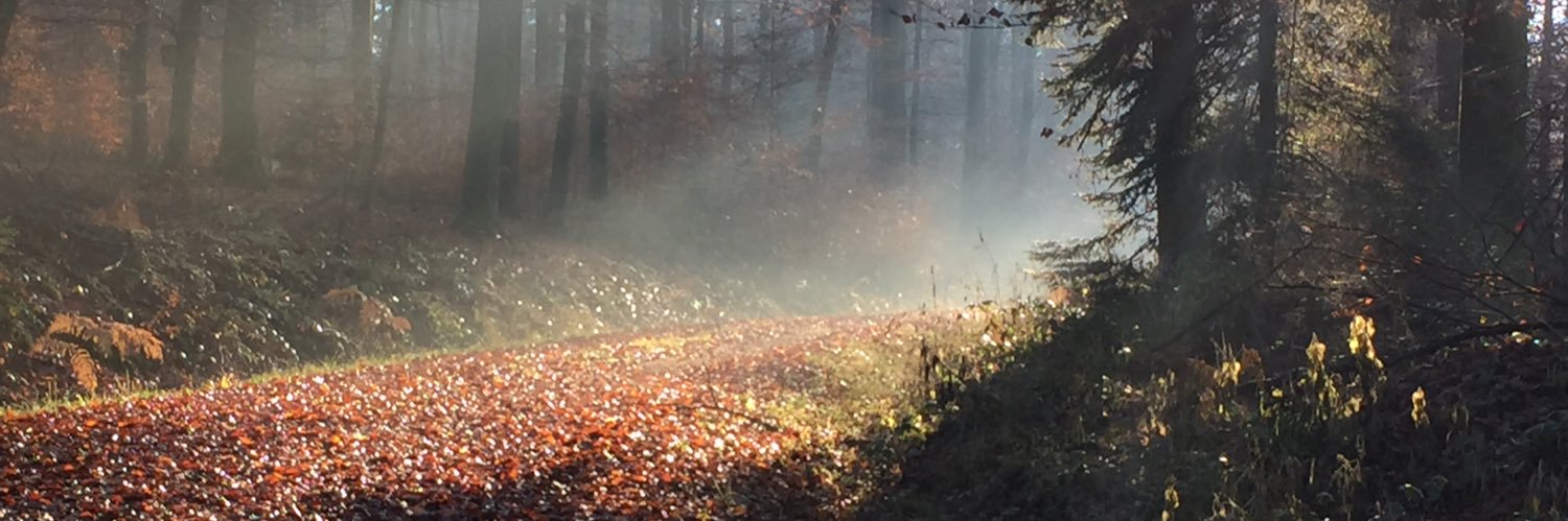 Flora🌺Findig🔍 🇩🇪🤝🇷🇺 banner