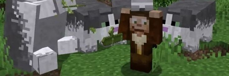 Hank is semi ia banner