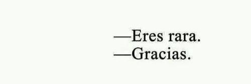 Pati Gregor 🔻 banner