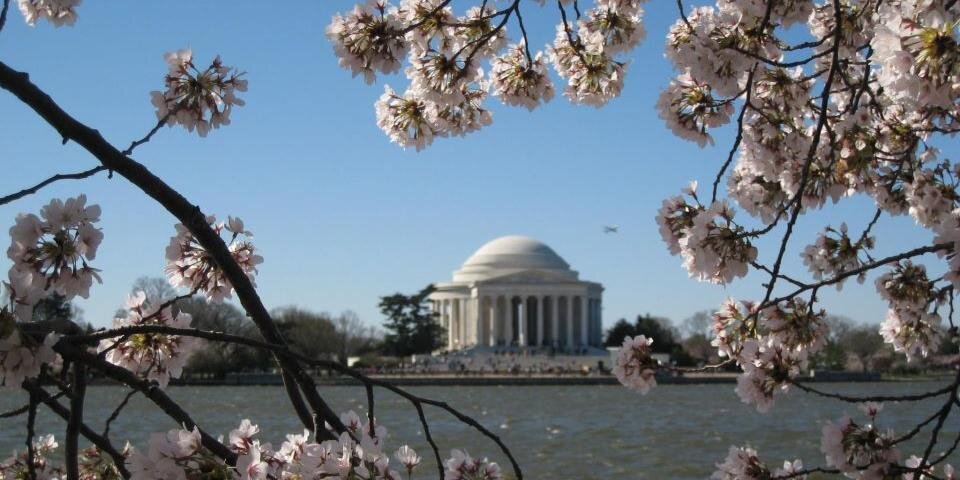 Sarah Caldwell banner