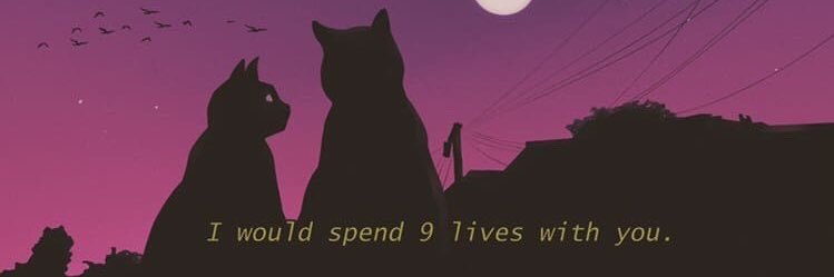 Bo Nitches🇺🇸🇲🇽 banner