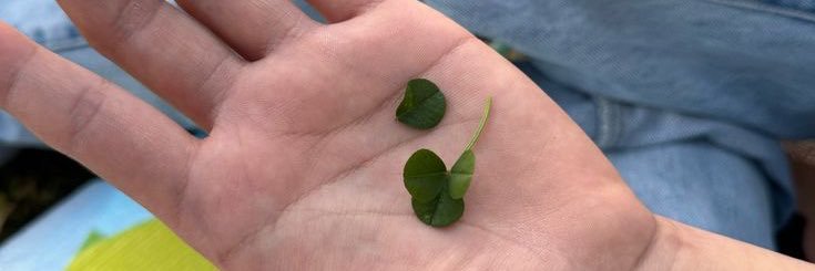 cali ੯·̀͡⬮ banner