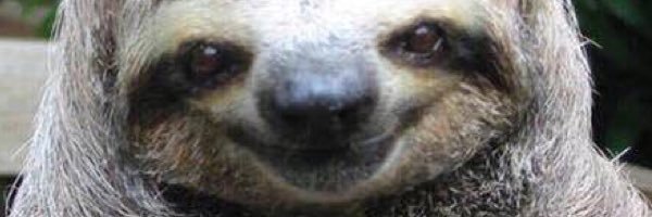 SokiaK's profile banner image