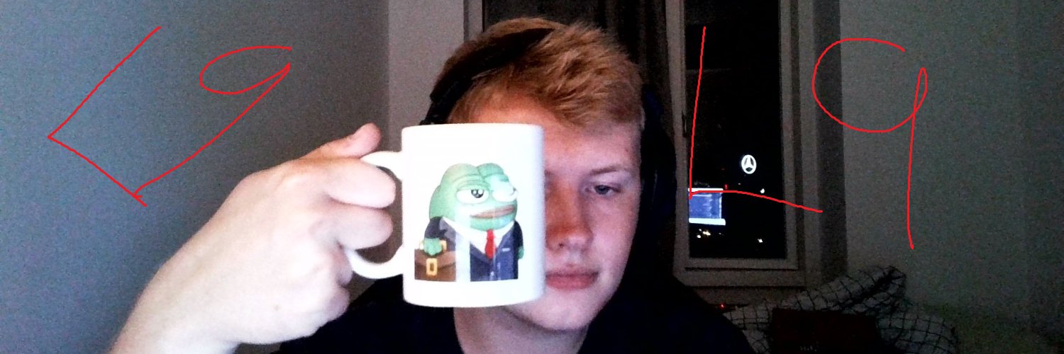 Stæhr banner
