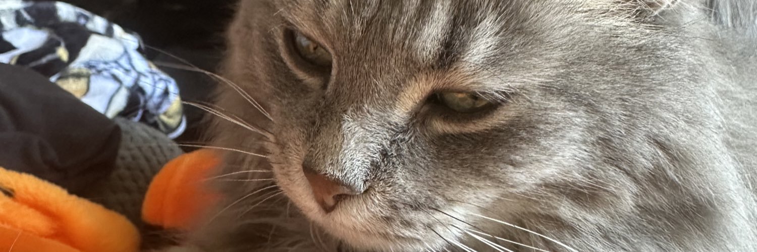 Robert0B21's profile banner image