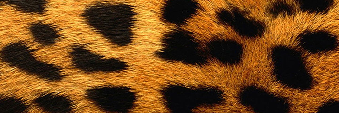 rainbowsamm's profile banner image