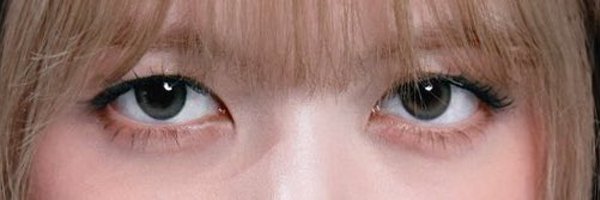 lin2938shu Profile Banner