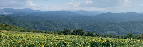 David Brooks Profile Banner