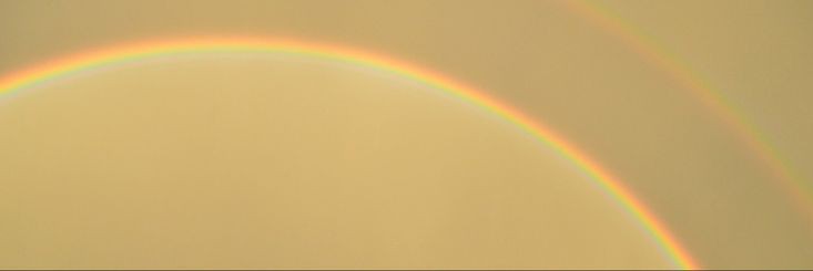 ethan. banner