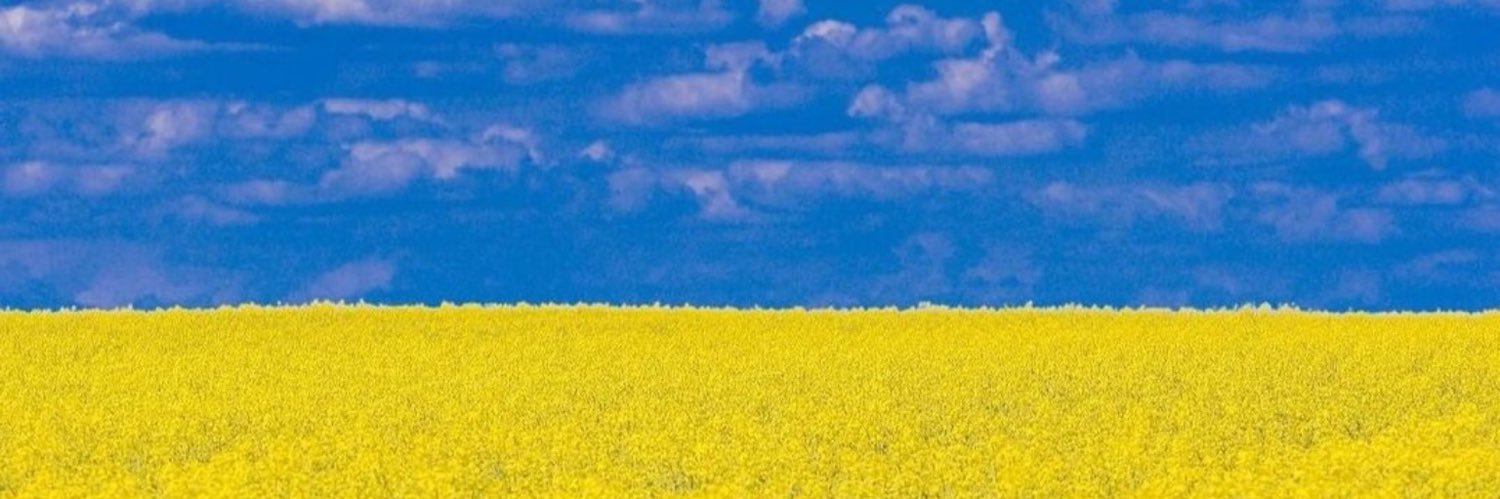 jado1960's profile banner image
