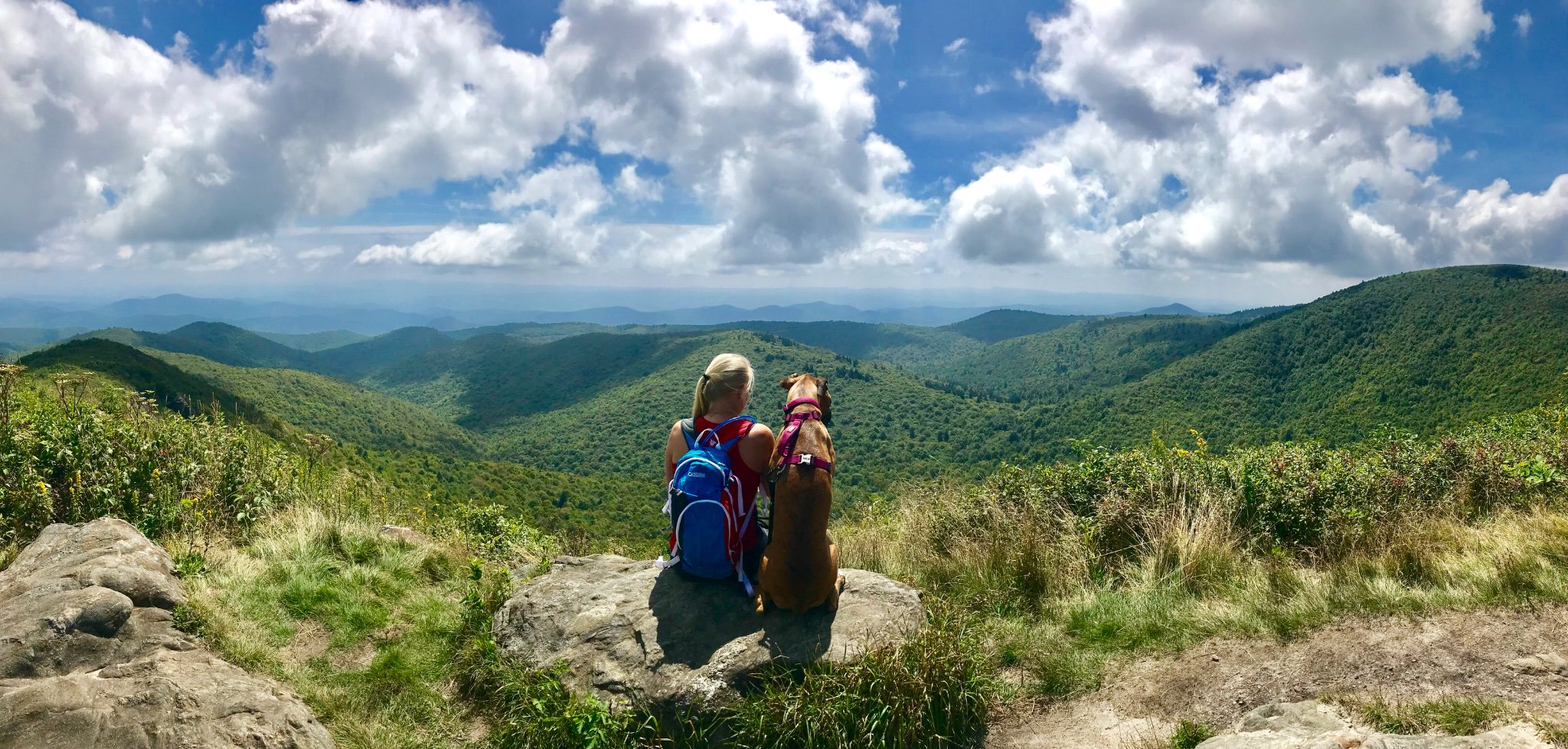 CardiK26's profile banner image