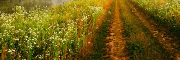 simplesassim_b Profile Banner