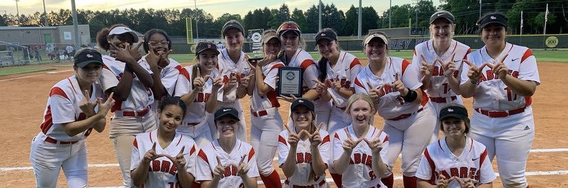 South Meck Softball banner