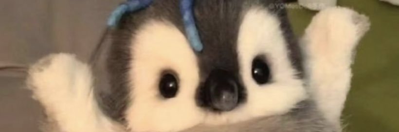 imhybread's profile banner image