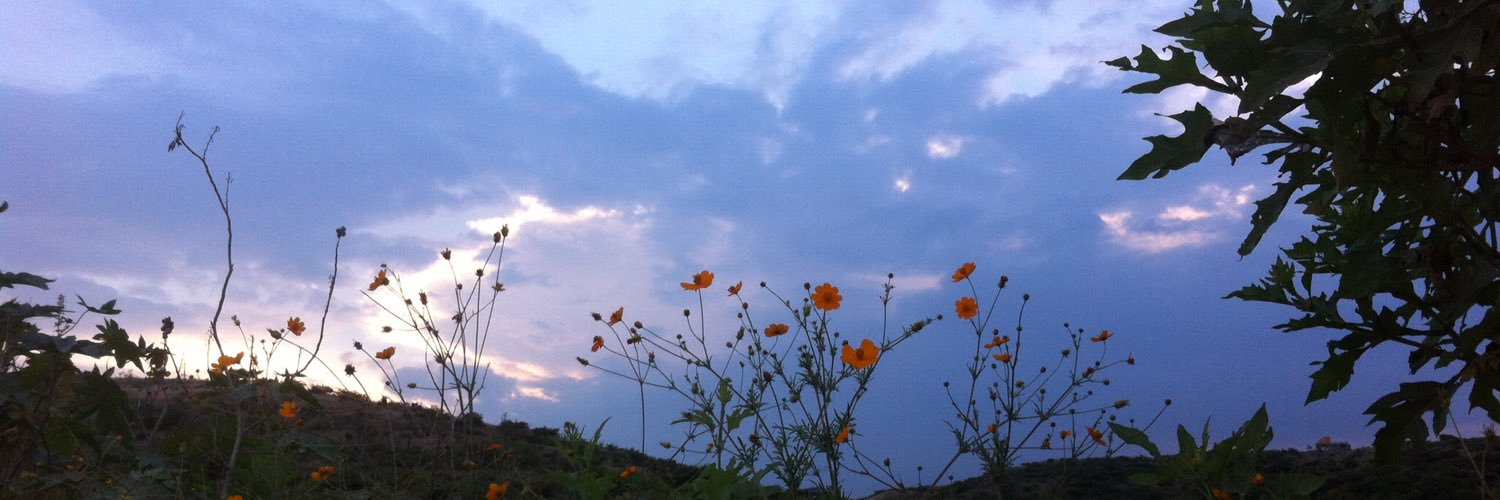 mayelamontero's profile banner image