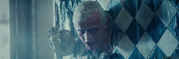 tincanvetph Profile Banner