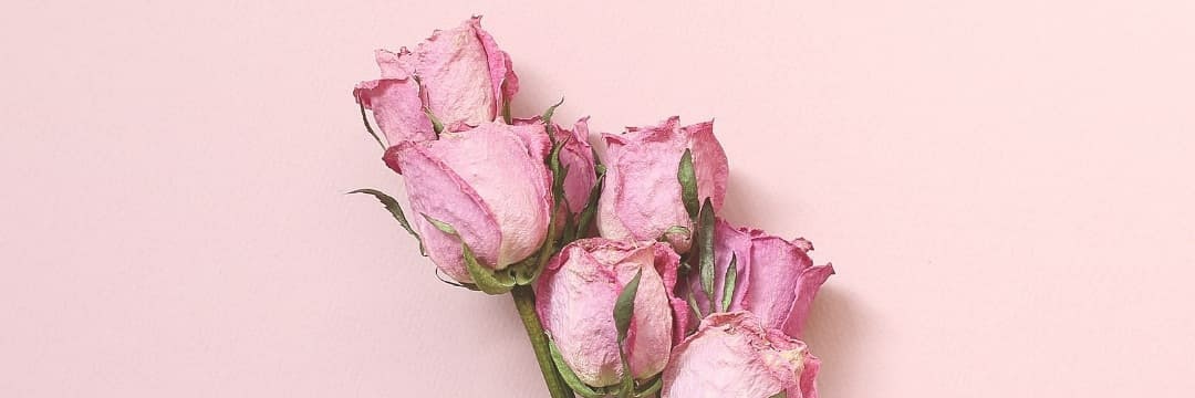 _mpinkmi's profile banner image