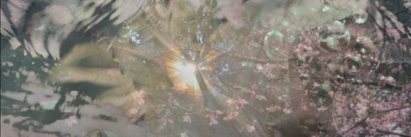 flirtytail Profile Banner