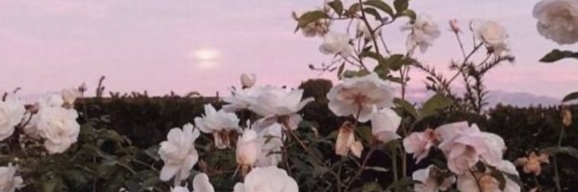 nataliee98_'s profile banner image