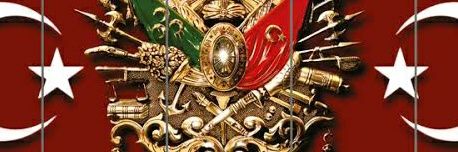 Milli banner