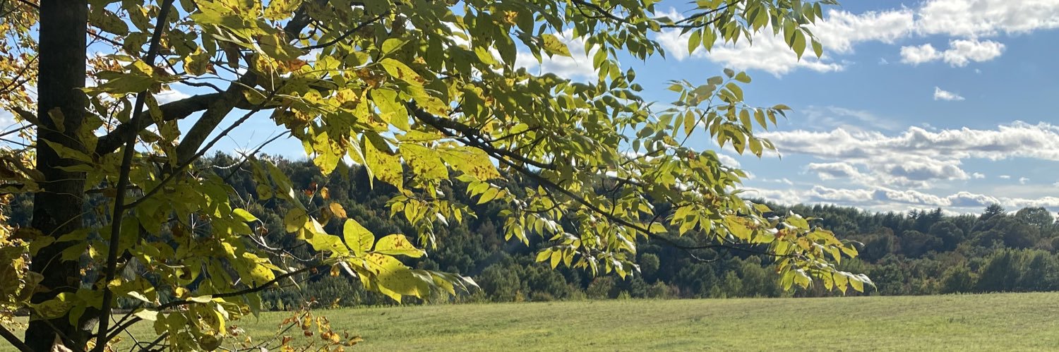 jmic1122's profile banner image