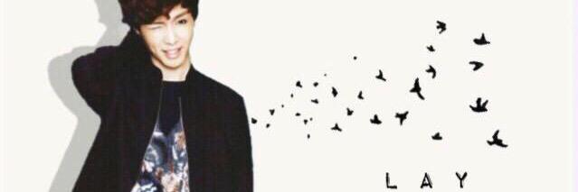 lay__1007b's profile banner image