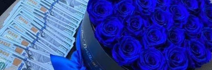 Allbluesbarbie's profile banner image