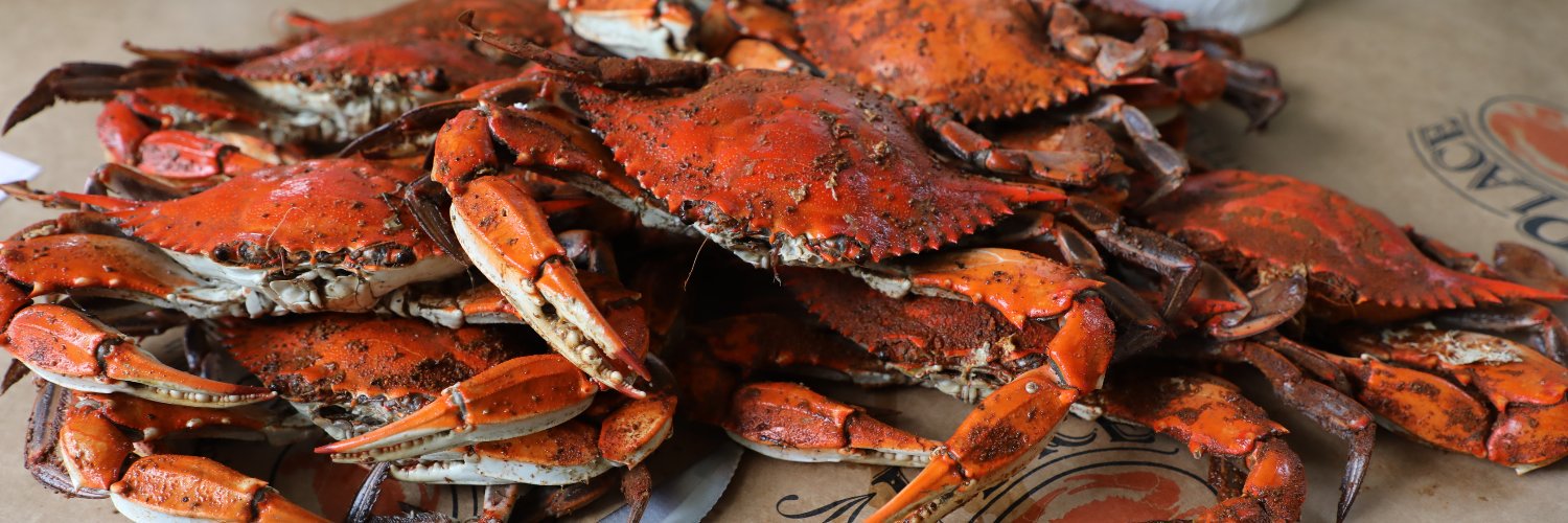 TheCrabPlace's profile banner image