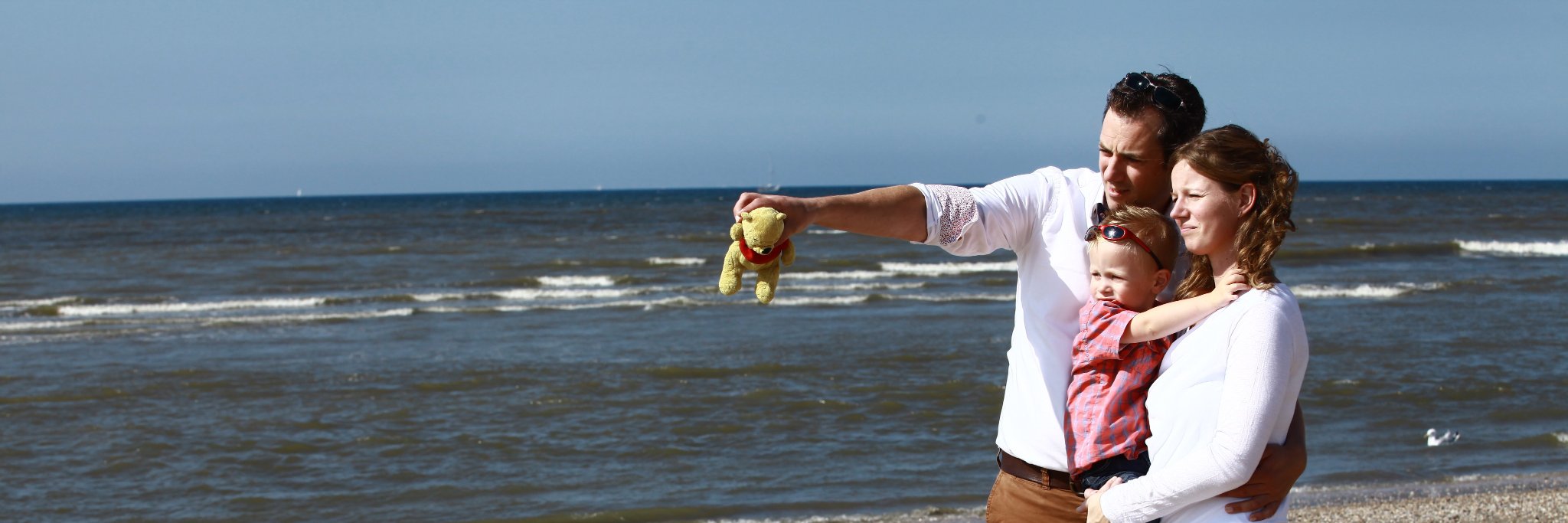Ton Koole banner