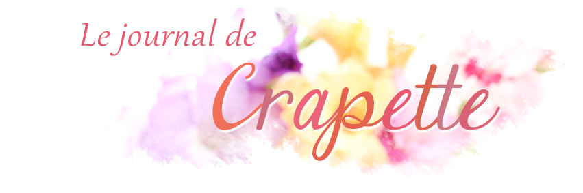 CrapetteJournal's profile banner image