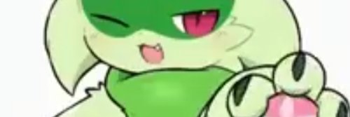 Felix banner