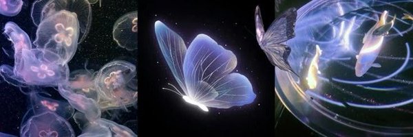 httpszombbie Profile Banner
