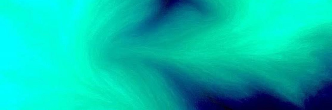 mevs banner