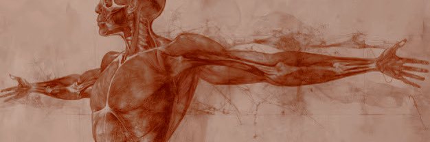 𝔉𝔩𝔢𝔰𝔥 𝔣𝔬𝔯 𝔉𝔞𝔫𝔱𝔞𝔰𝔶. banner