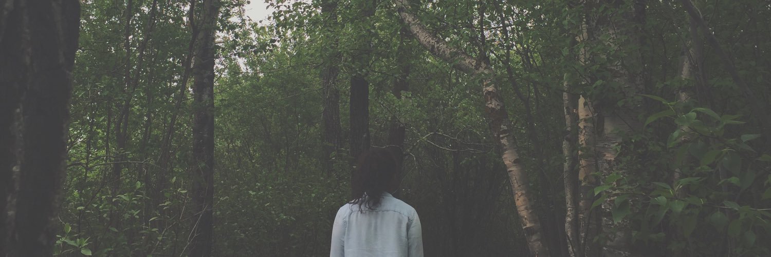 Katie Reimer banner