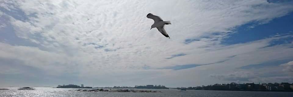 Süleyman Altunoğlu banner