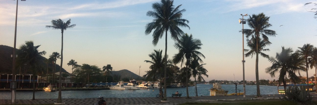 caridelabe's profile banner image