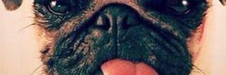 Esa_Roshi's profile banner image