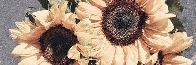 macmt96's profile banner image