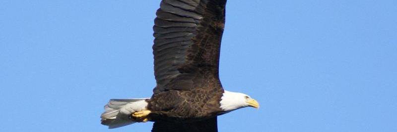 debburton1's profile banner image
