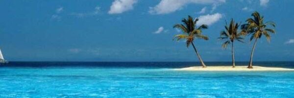 lailaaahmad Profile Banner
