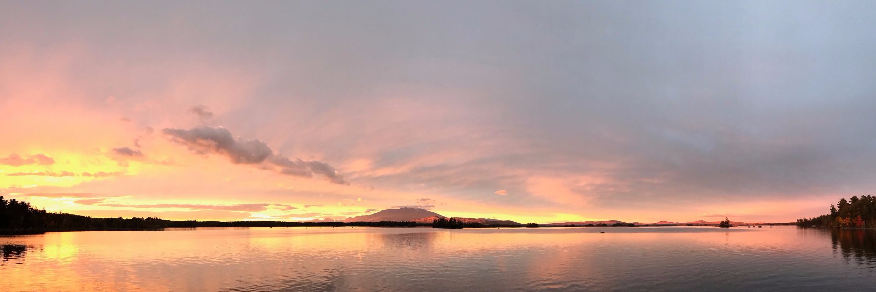 Mitchell Institute banner